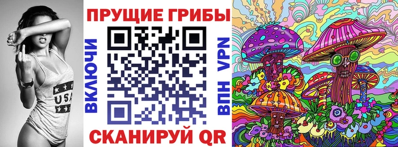Псилоцибиновые грибы Cubensis  ссылка на мегу как войти  Белая Холуница 